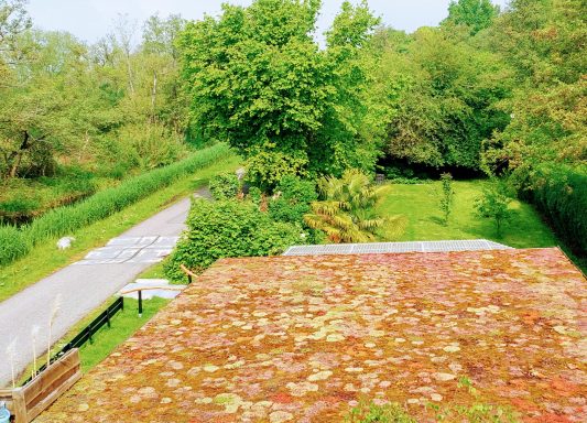 Door het sedum dak gaat de studio naadloos op in de natuur Sedum dak